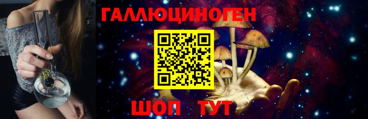 Кашира  Псилоцибиновые грибы MAGIC MUSHROOMS  Вход с VPN 