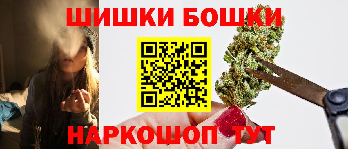 Канабис сатива Кашира
